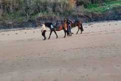 IMG-20231007-WA0062