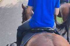 IMG-20231007-WA0094