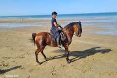 IMG-20231008-WA0041
