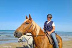 IMG-20231008-WA0042