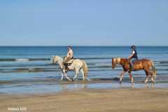 IMG-20231008-WA0043