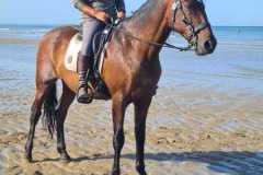 IMG-20231008-WA0048