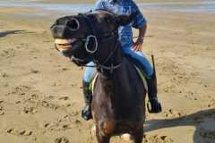 IMG-20231008-WA0050