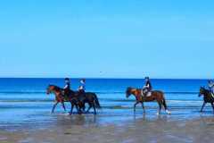 IMG-20231008-WA0065