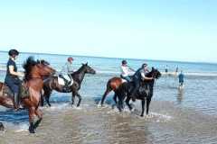 IMG-20231008-WA0066