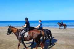 IMG-20231008-WA0067