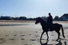 IMG-20231008-WA0071