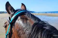 IMG-20231008-WA0073