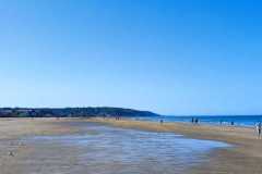 IMG-20231008-WA0074