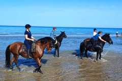IMG-20231008-WA0075
