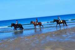IMG-20231008-WA0076