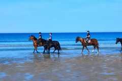 IMG-20231008-WA0077