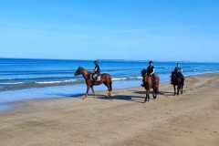 IMG-20231008-WA0082