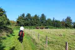 IMG-20231008-WA0085
