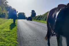 IMG-20231008-WA0087