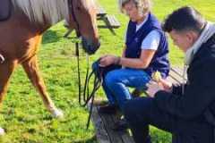 IMG-20231008-WA0093