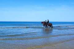 IMG-20231008-WA0106