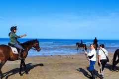 IMG-20231008-WA0111