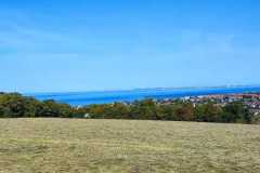 IMG-20231008-WA0121
