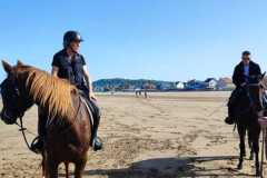 IMG-20231008-WA0123