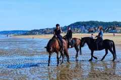 IMG-20231008-WA0129