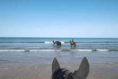 IMG-20231008-WA0141