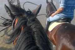 IMG-20231008-WA0143