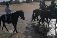 IMG-20231008-WA0146