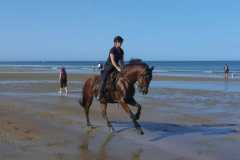 IMG-20231008-WA0152