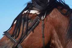 IMG-20231008-WA0159