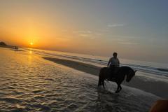 IMG-20231008-WA0184