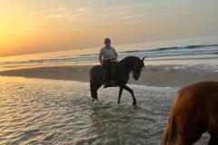 IMG-20231008-WA0185