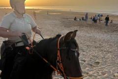 IMG-20231008-WA0194