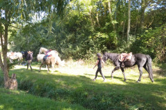 IMG_20230924_153033