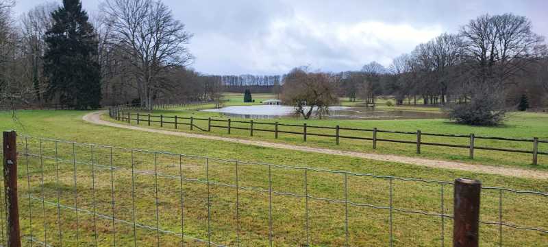IMG-20240204-WA0117